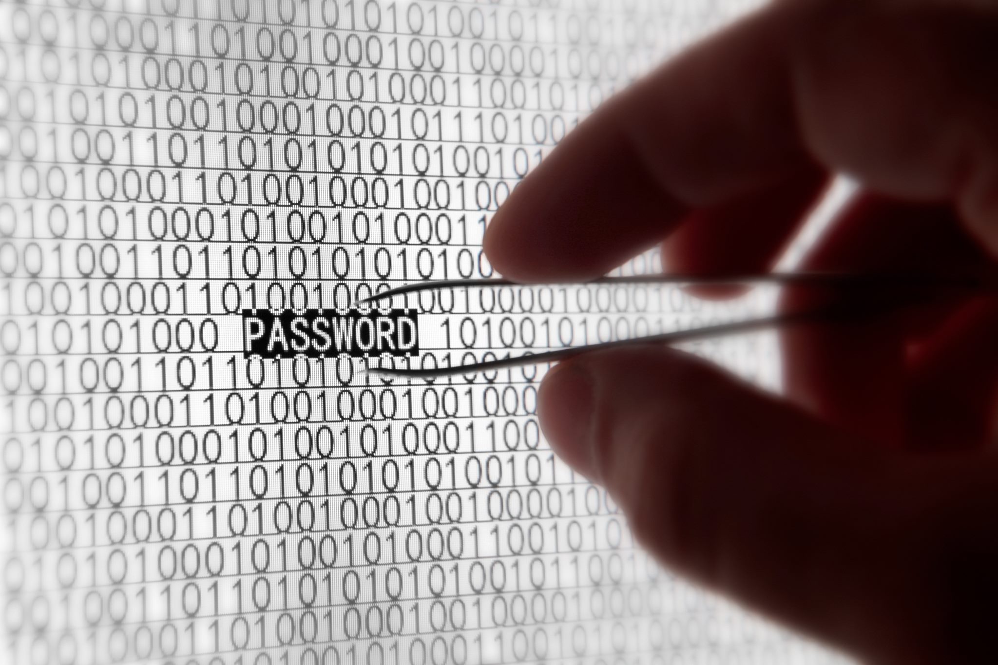 Le 27 password utilizzate